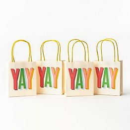 Fun Express Neon Color Paper Goodie Bags, Treat Bags, Paper Lunch Bags, Candy Bags, Favor Bags, Small Bags