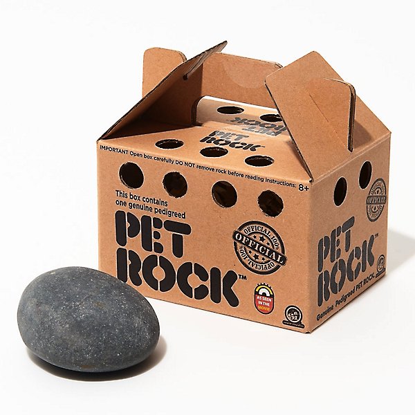 Timing, Marketing Made the Pet Rock Roll - Inventors Digest