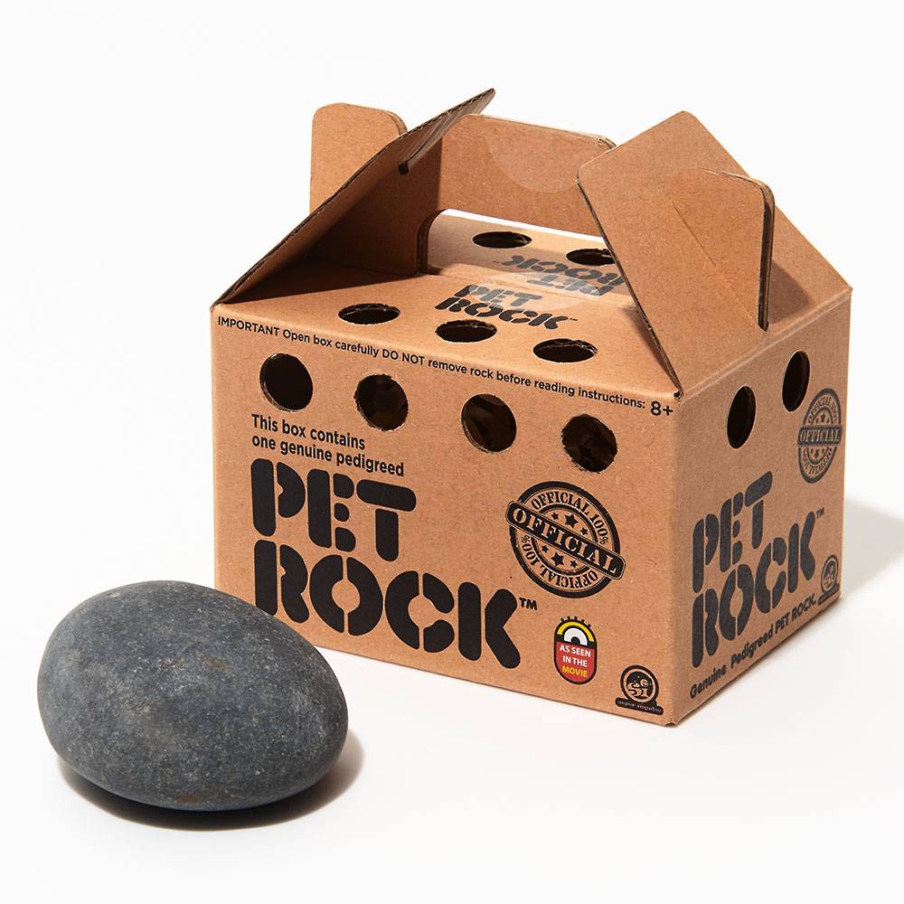The Original Pet Rock: A 70's Phenomenon Reimagined! 