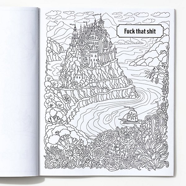 Adults chill out with coloring books
