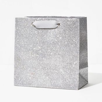 silver shimmer bag