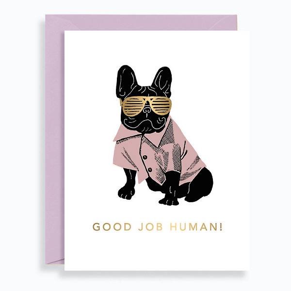 Congratulatory greeting card featuring an illustrated dog wearing gold foil sunglasses. Card reads, good job human.