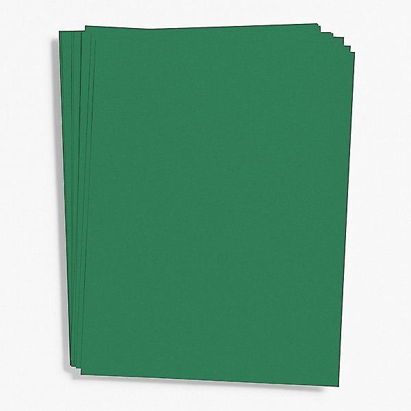 Spruce Card Stock 8.5 x 11 Bulk Pack | Paper Source