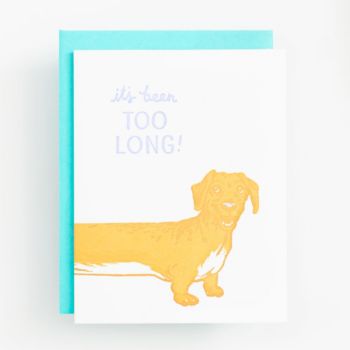 It's Been Too Long Card | Paper Source