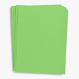 Springhill Green 67# Cardstock – The Paper Store and More