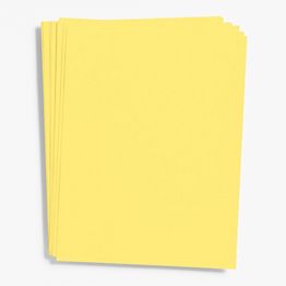 Pure White Card Stock 8.5 x 11 Bulk Pack | Paper Source