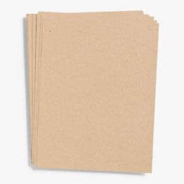 Paper Bag Kraft 100% Recycled Cardstock - 12 x 12 inch - Premium 100 lb. Heavyweight Cover - 25 Sheets from Cardstock Warehouse