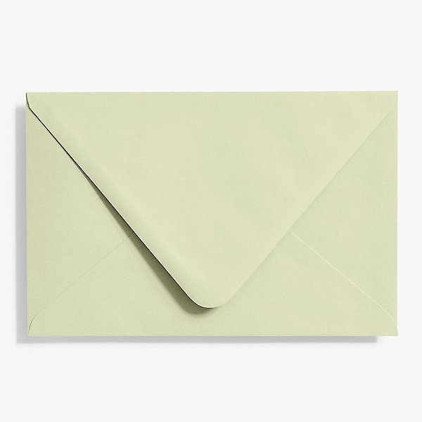 Leaves Envelopes /colorful leaves envelopes / Clear Envelopes
