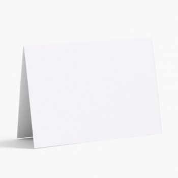 Pure White Place Cards | Paper Source