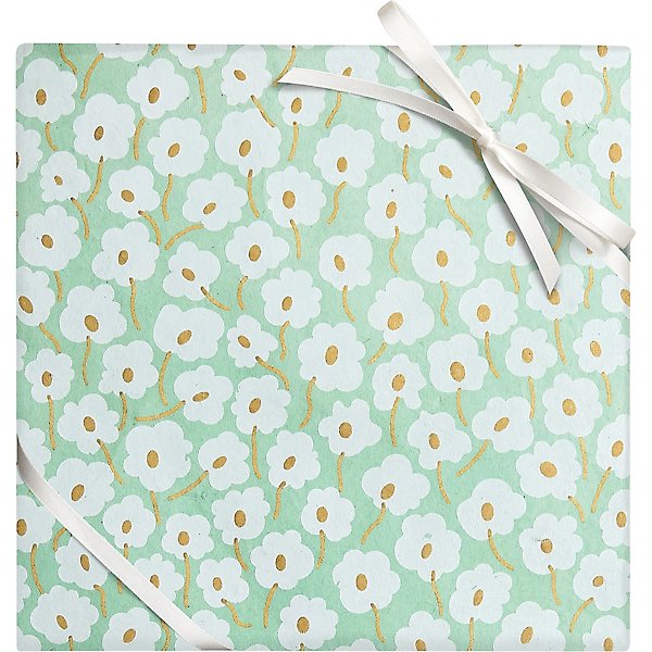 Daisy Floral Tissue Paper (100 Sheets, 20x30 inch) - Package Mint