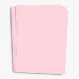 Pure White Card Stock 26 x 20 | Paper Source