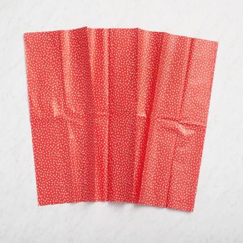 Flurry on Red Tissue Paper