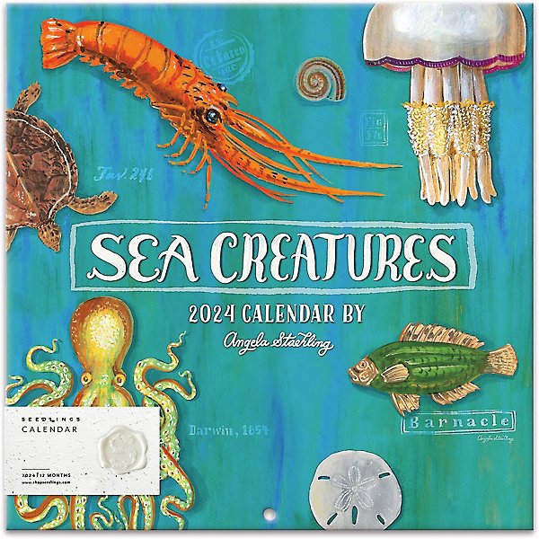 2024 Seedlings Sea Creatures Wall Calendar
