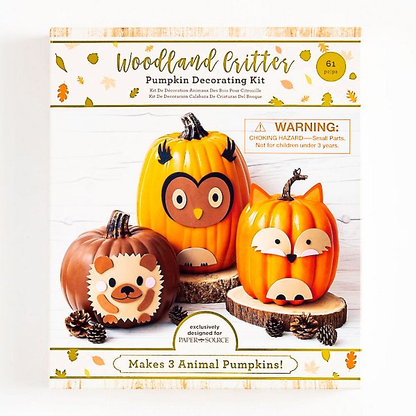 Woodland Critter Pumpkin Decorating Kit | Paper Source