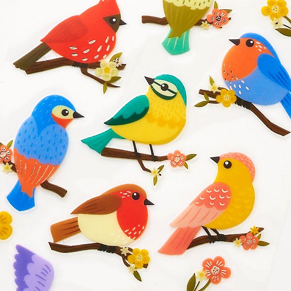 Bird Stickers, Stickers for Kids