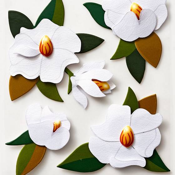 Magnolia Dimensional Stickers.