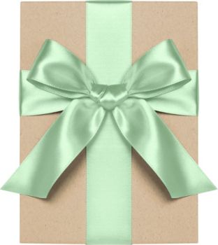 mint satin ribbon