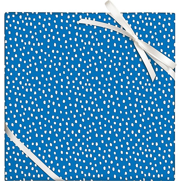 Holiday Stripes Wrapping Paper – Navy Blooms