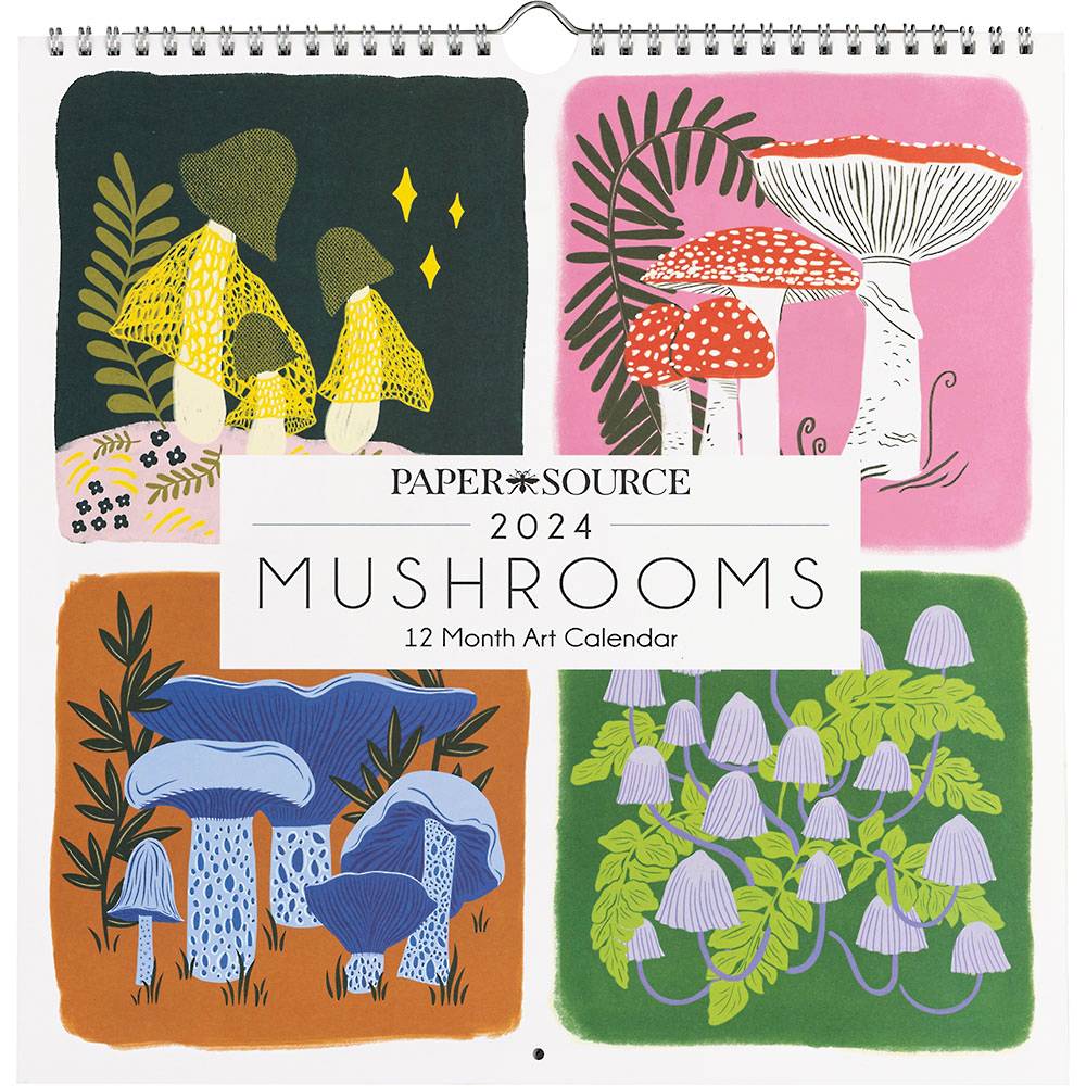 Mushroom themed 2024 calendar (watercolors by mushroom artist