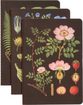 Printable seed paper picture