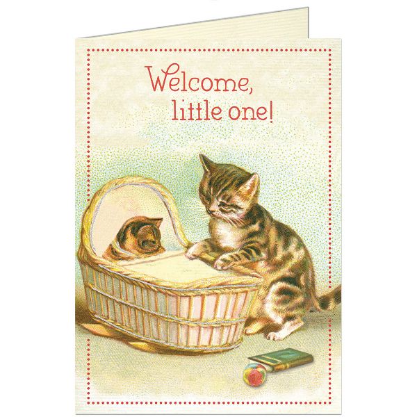 Baby Cats Card