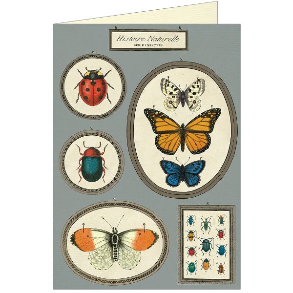 Natural History Insects Greeting Card