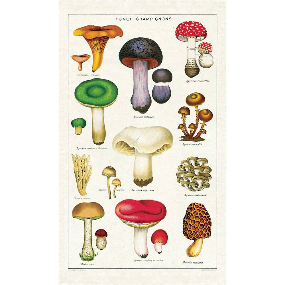 Mushroom Tea Towel – Gingiber