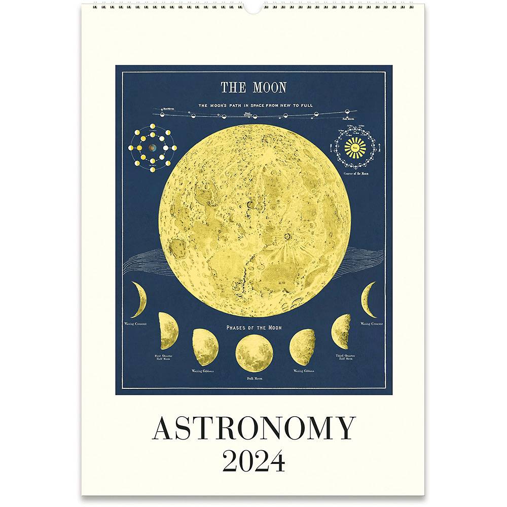 2024 Cavallini & Co. Astronomy Wall Calendar