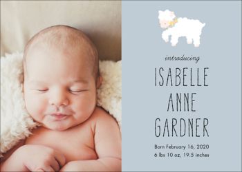 february birth announcements