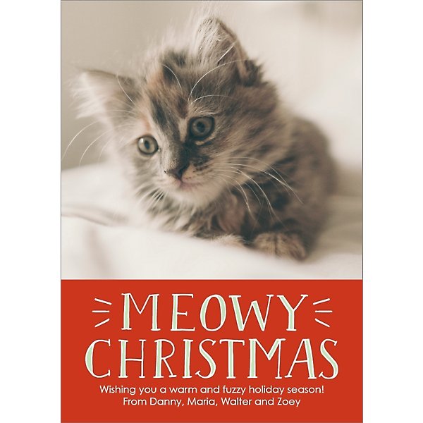 Meowy Christmas from all of us to you 🐱🎄🤍 May your holidays be plump and  filled with delicious food or warm cuddles!🎅 Thank you for…