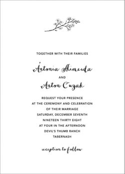 bat mitzvah invitations