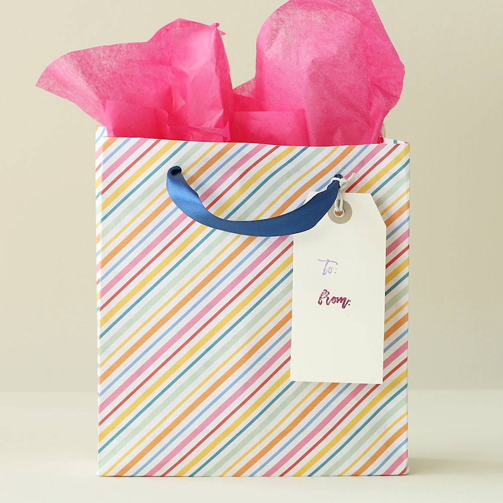 Landscape Large Paper Party Gift Bags ~ Boutique Shop Bag ~ With Tissue Wrap 