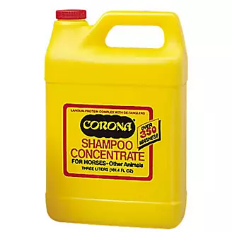 Corona Shampoo 3 Liter