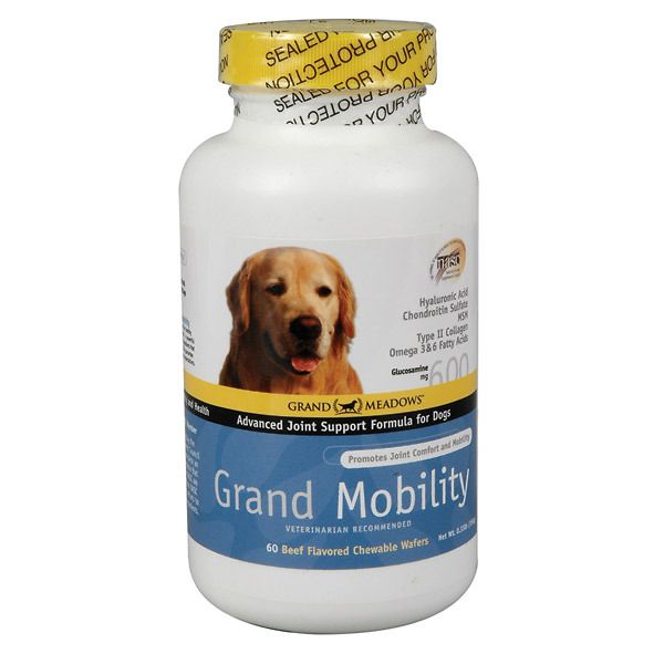 Kv pet supply dogs sales