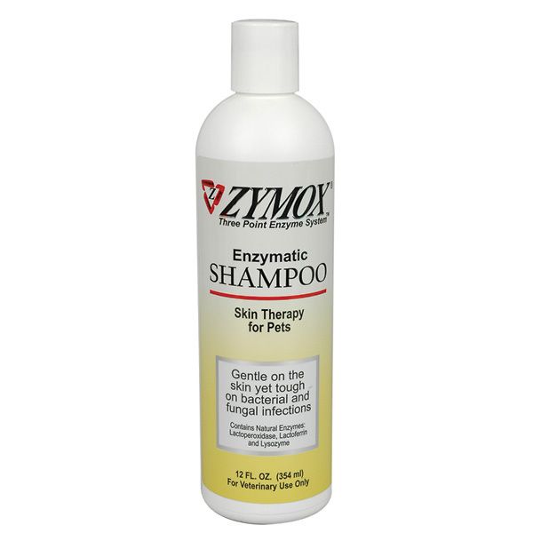 zymox medicated shampoo