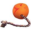 Toss N Clutch with Rope Ball Dog Toy