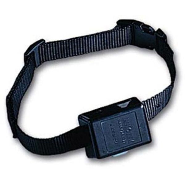 Innotek sd 2000 outlet collar