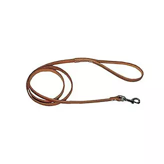 Leather Brothers Bully Standard Lead - 5/8