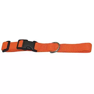 Adjustafit Dog Collar Orange
