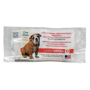 canine spectra 9 for older rescue dogs