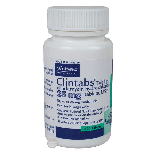 Clindamycin 25mg Tablets 1 ct