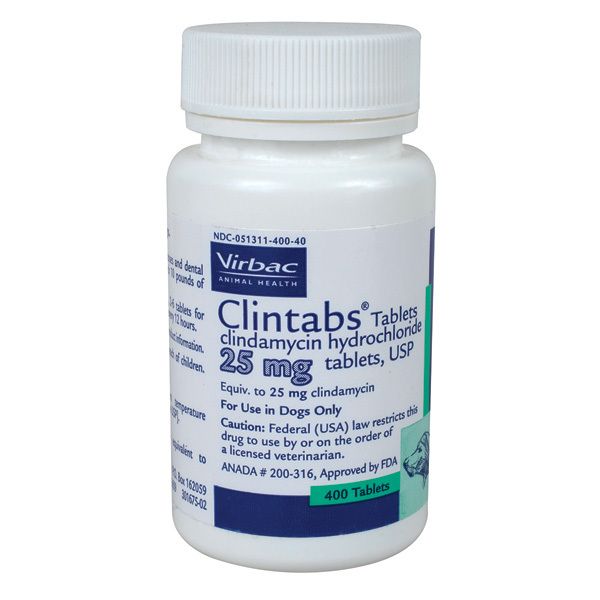 Clindamycin 25mg Tablets 400ct