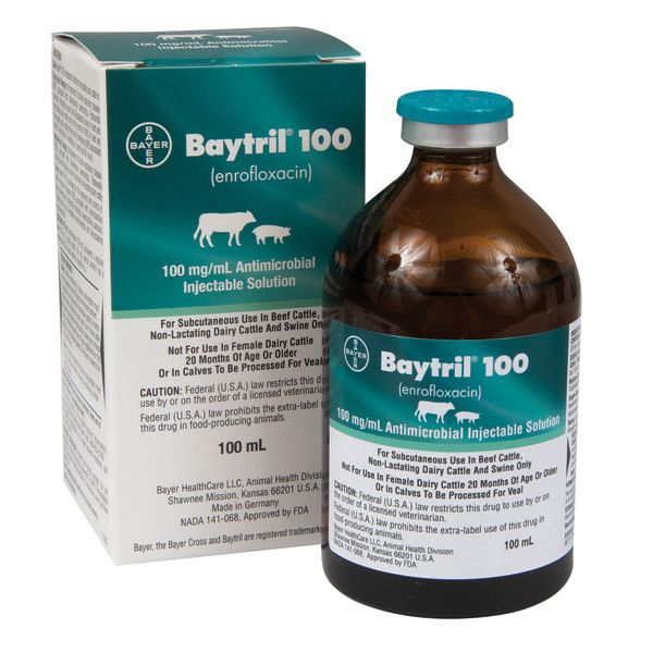 Baytril 100 Injection 100ml