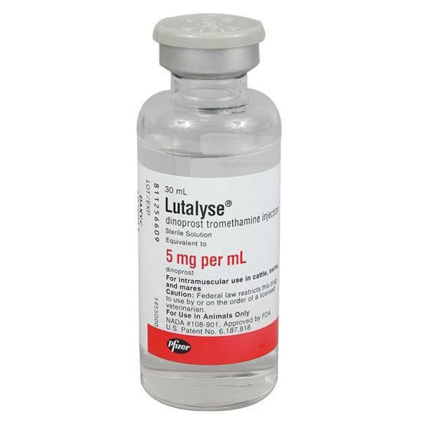 Lutalyse Injection 30ml/6 Dose