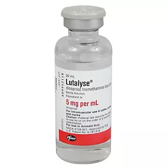 Lutalyse Injection