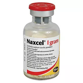 Naxcel Injection