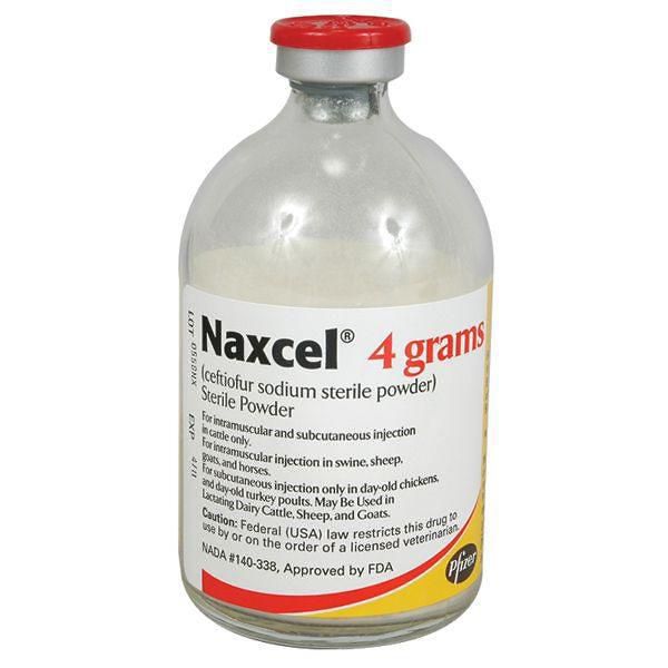 Naxcel Injection 4gm