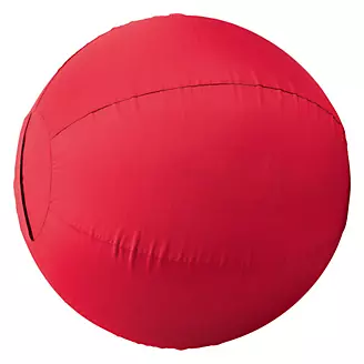 Stacy Westfall Activity Ball Cover - Large