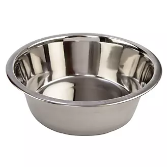 Dog Food In A Stainless Steel Bowl Stock Photo - Download Image