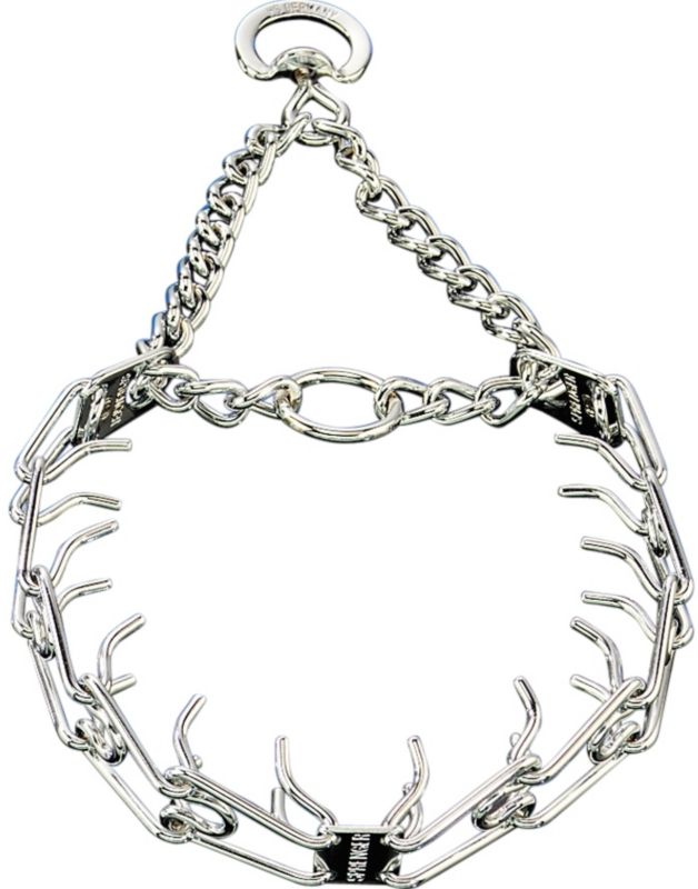 prong for dogs